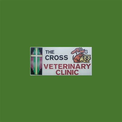 The Cross Clinic Logo