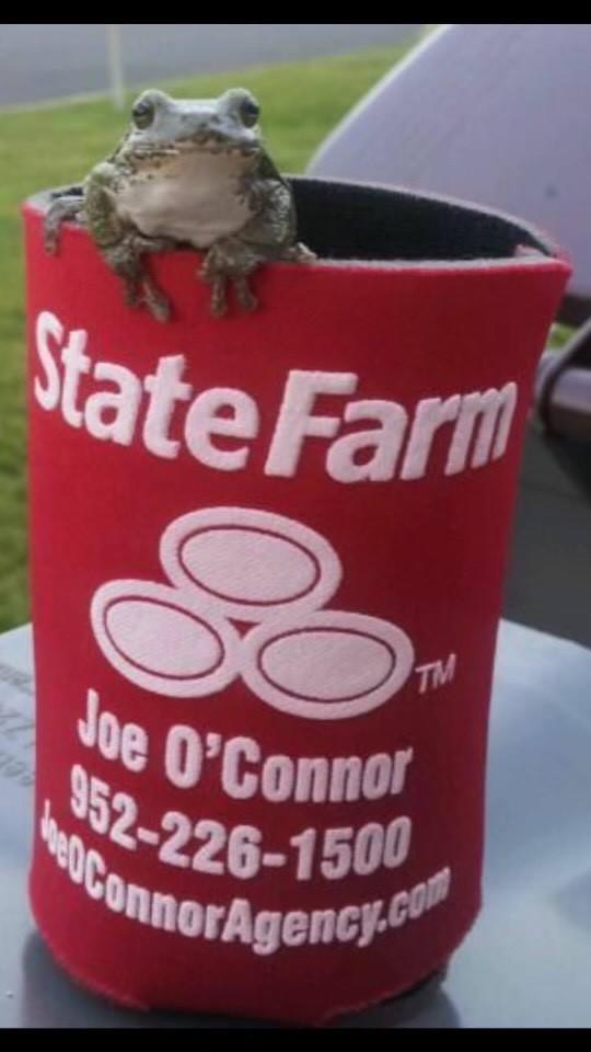 Image 2 | Joe O'Connor  - State Farm Insurance Agent