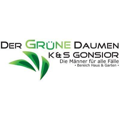 Der grüne Daumen junior GmbH & Co.KG Kai Gonsior in Dötlingen - Logo