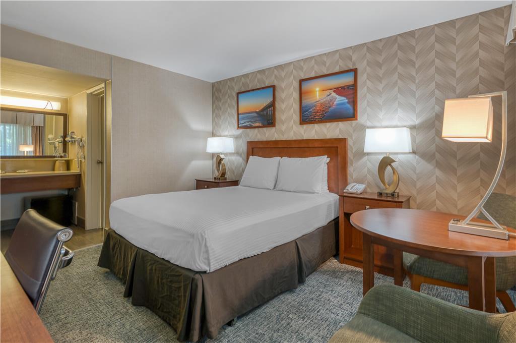 Queen Guest Room