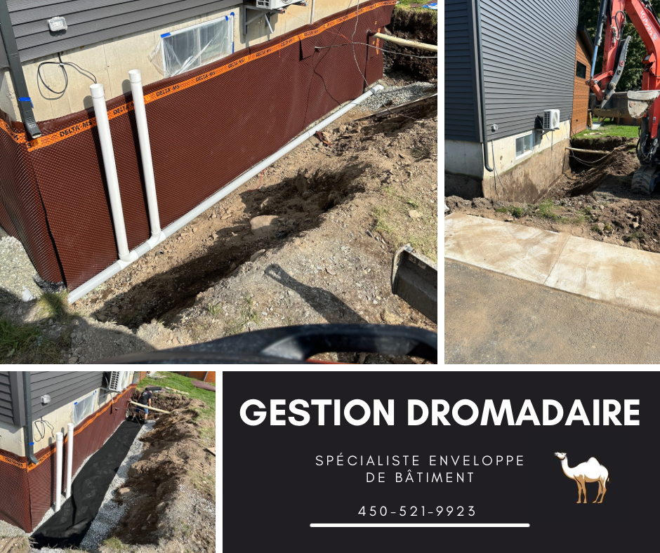 Images Gestion Dromadaire Inc