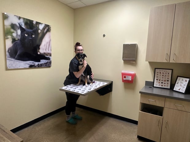 Images Vetco Total Care Animal Hospital
