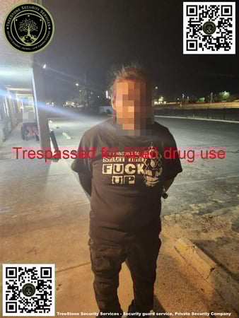 Images TreeStone Security Services