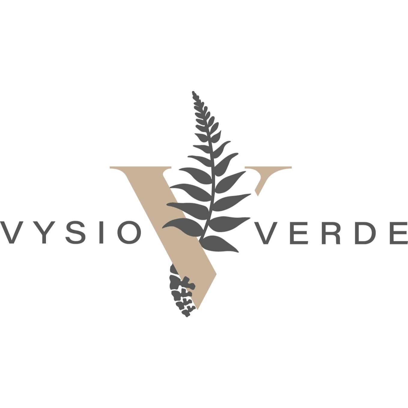 Dami GmbH - Vysio Verde Inh. Frida Sbrijer-Petruitis Logo