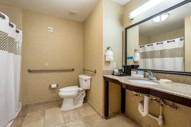 Images Hampton Inn & Suites Orlando-South Lake Buena Vista