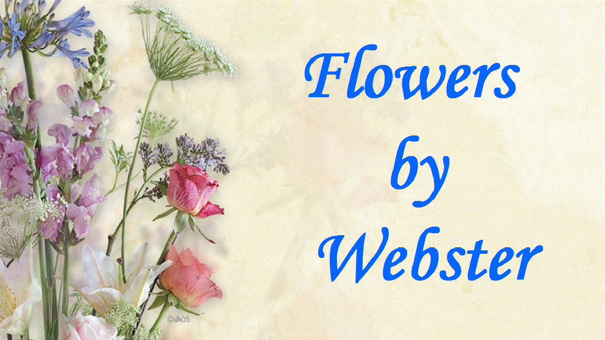 Flowers by Webster - Westfield, MA 01085 - (413)562-4474 | ShowMeLocal.com