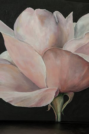 Images Terry Blackburn Fineart
