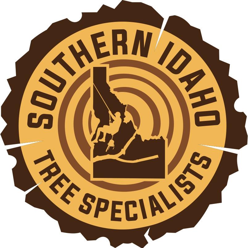 Specialist id coupon code