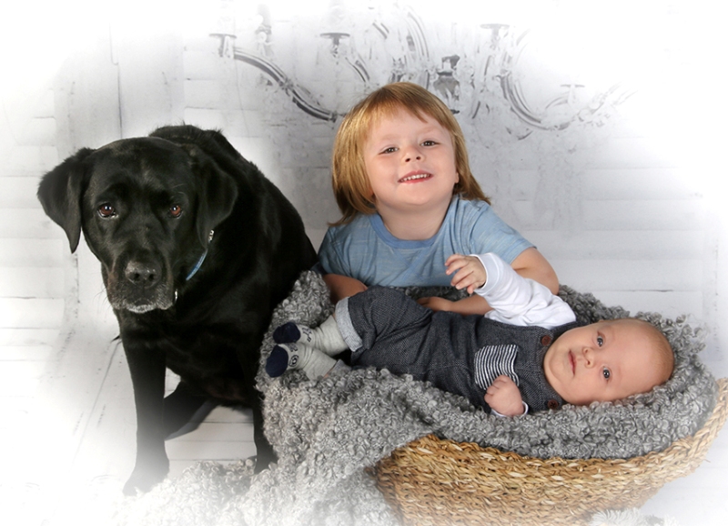 Foto Rothbauer e.K., Propsteistraße 3 in Cham