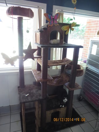 Images Six Forks Animal Hospital