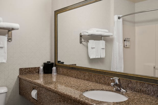 Images Holiday Inn Express & Suites New Buffalo, MI by IHG