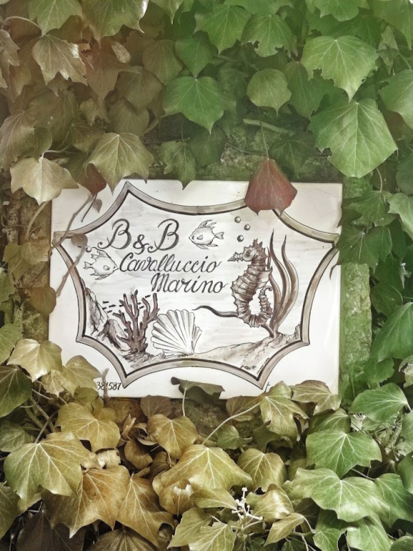 Images B&B Cavalluccio Marino