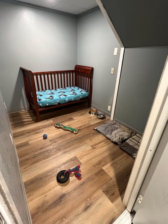 Images Marcie's Pet Spa