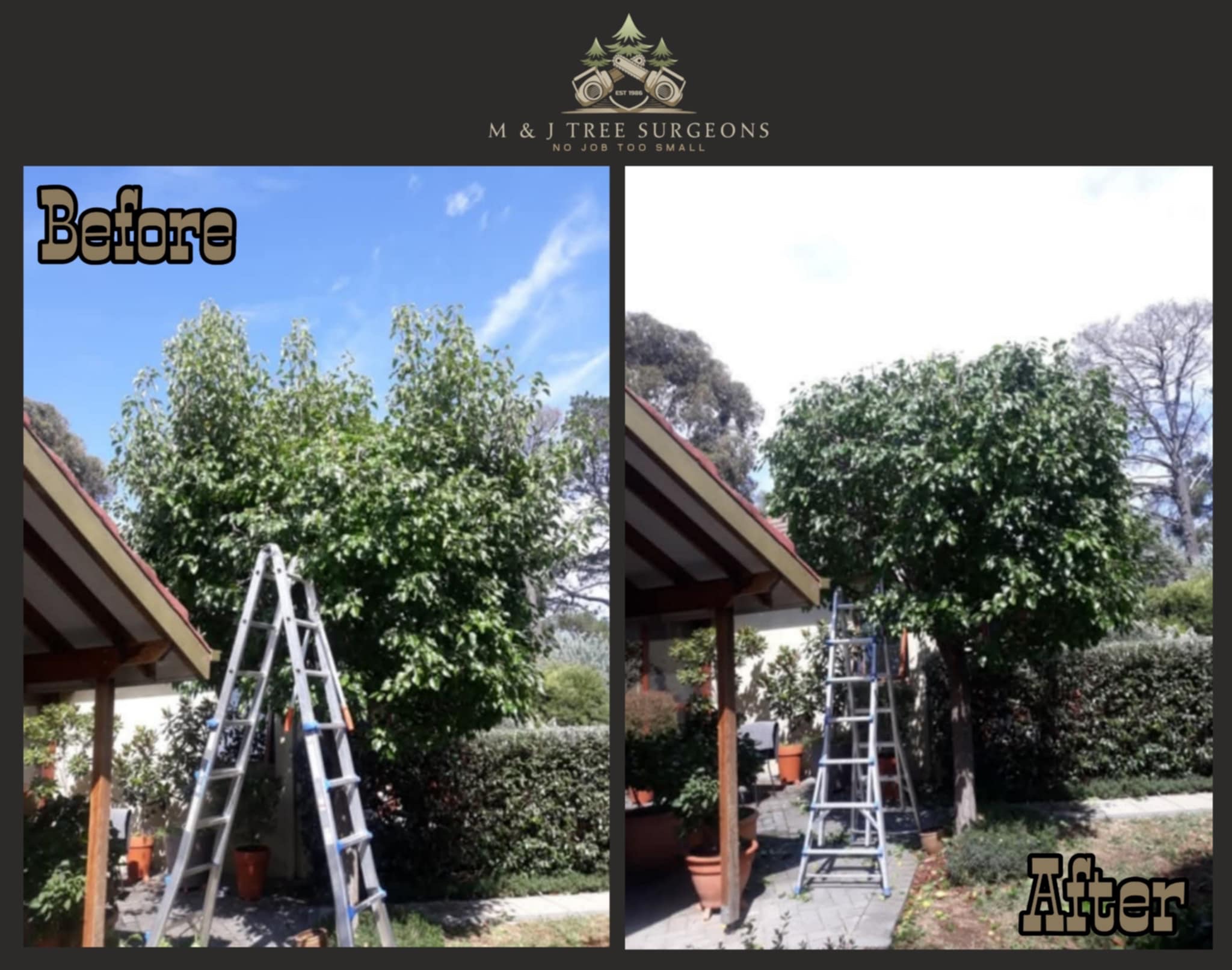 Images M & J Tree Surgeons
