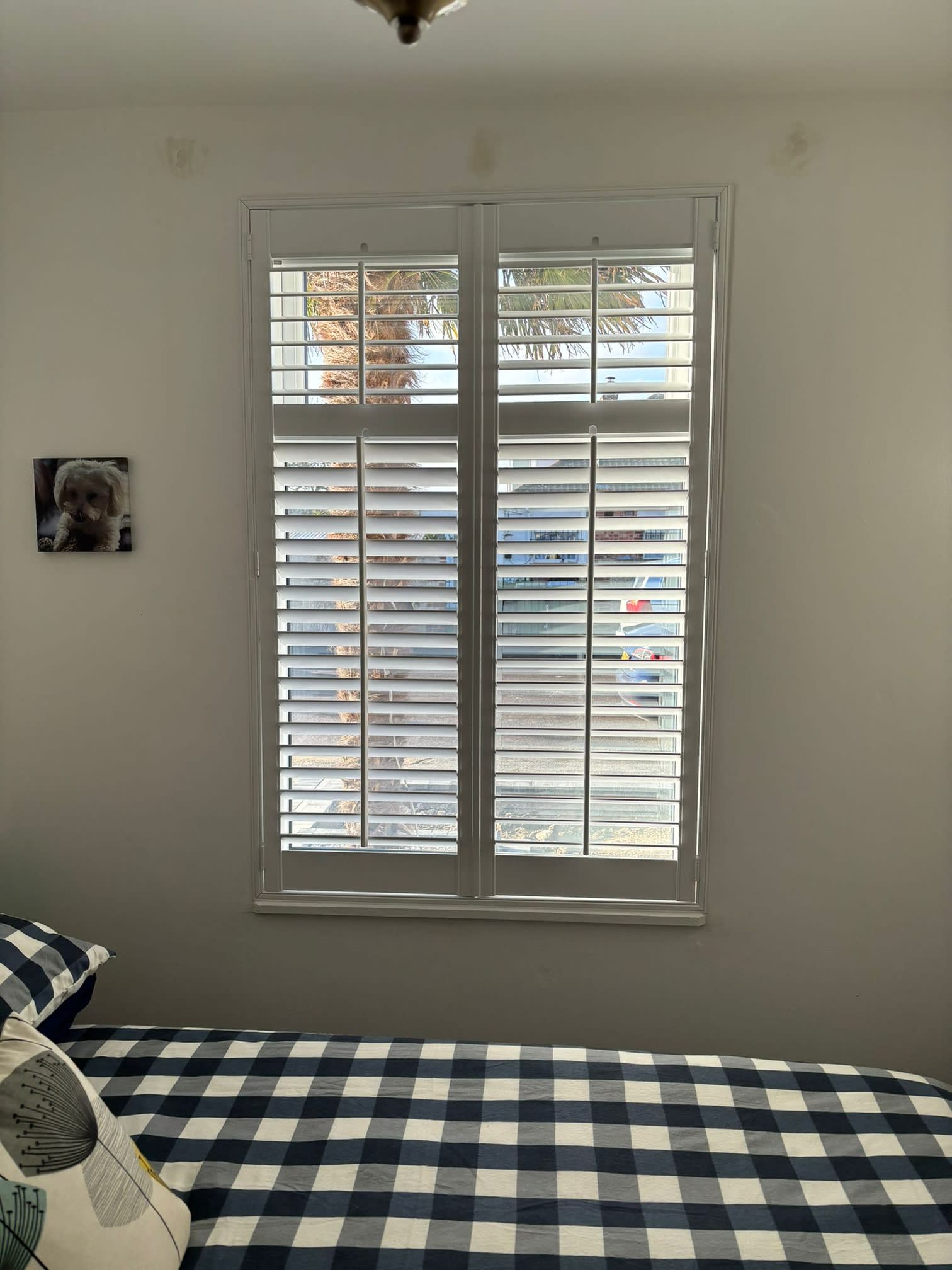 Images Mustrade Blinds & Shutters