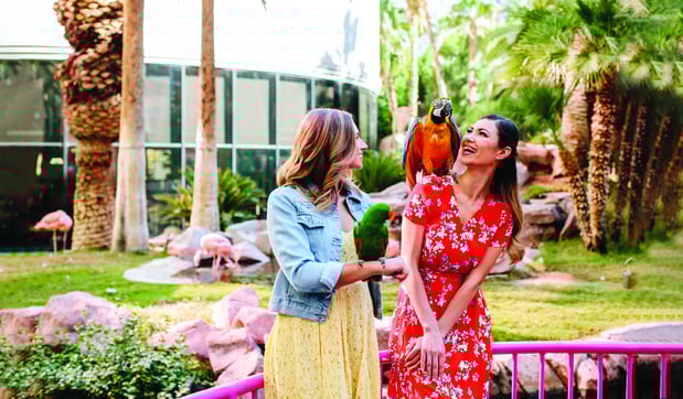 Images Flamingo Las Vegas - A Caesars Rewards Destination