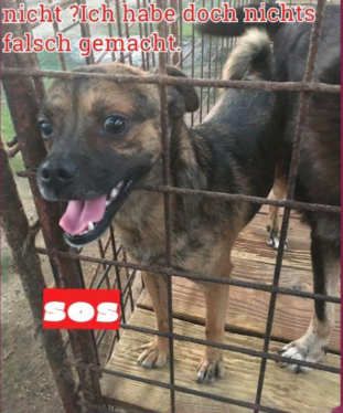 Charity Projekt Foundation by Brandon J Presley, Untergasse 68 in Trebur