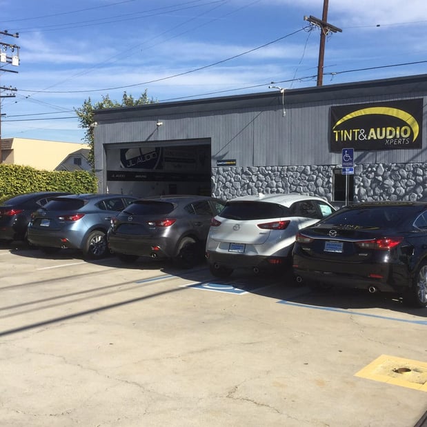 Images Low Cost Ignition Interlock