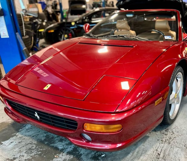 Images Loudoun County Exotics