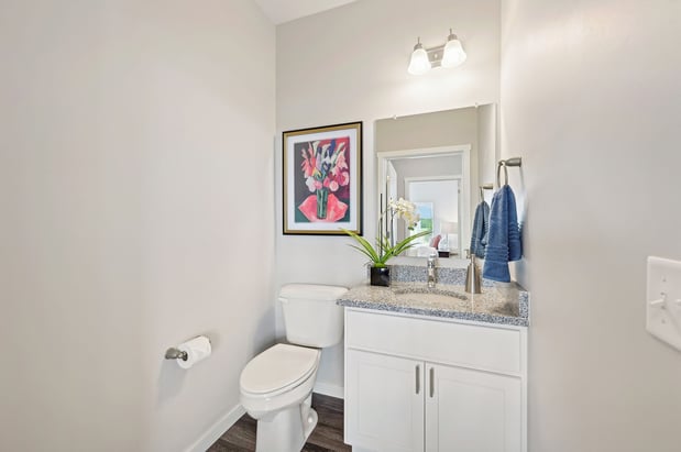 Images Sugar Maple Commons