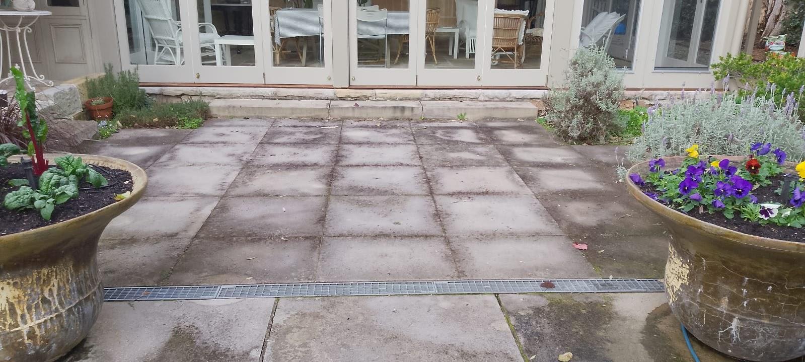 Images Butler Carpet Cleaning Sydney