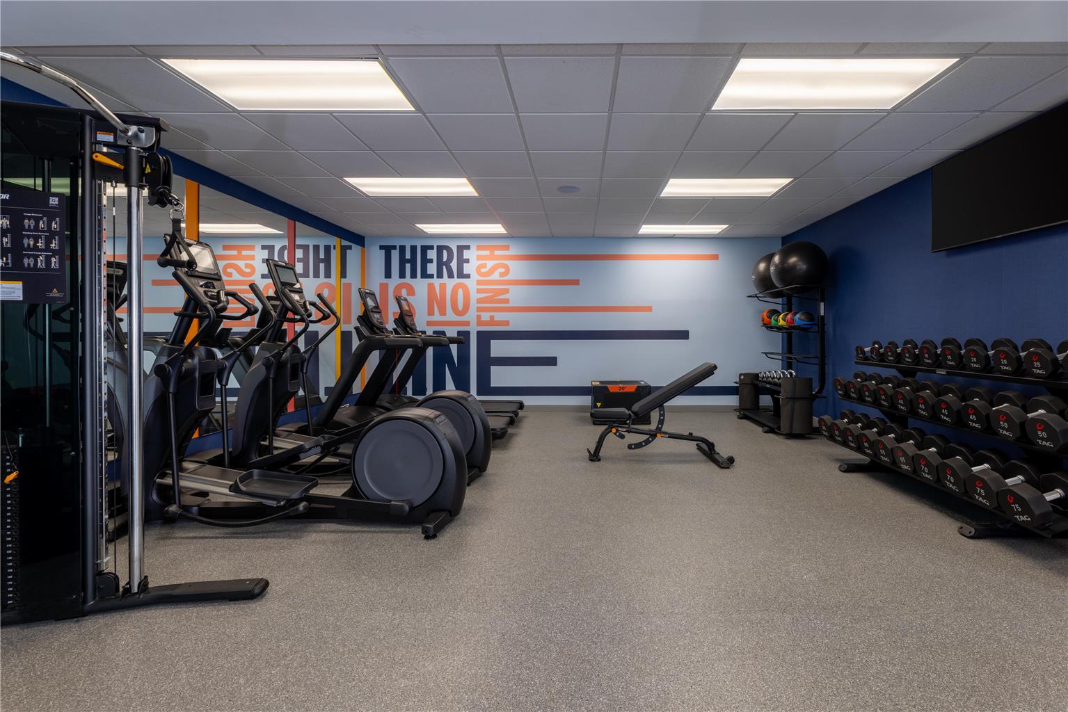 Health club  fitness center  gym