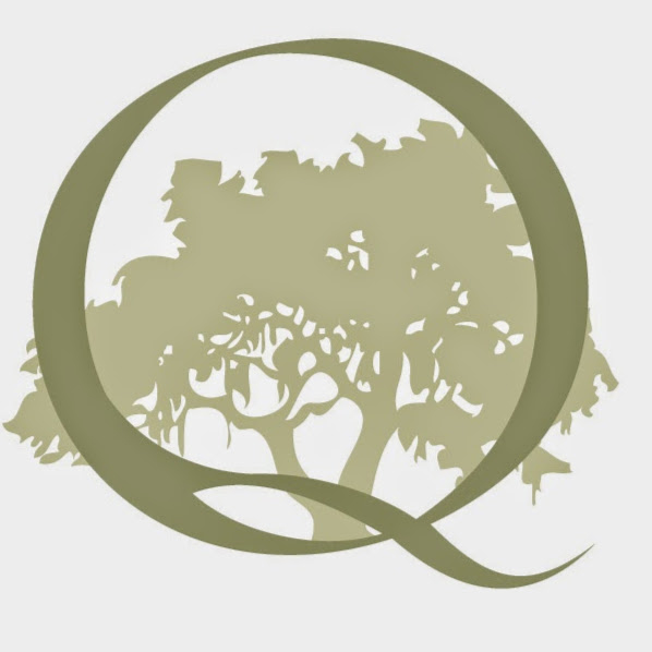 Query Sautter Forsythe, Llc