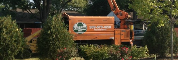 Images A Cut Above Tree Service