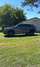 Prodigy Tinting Image