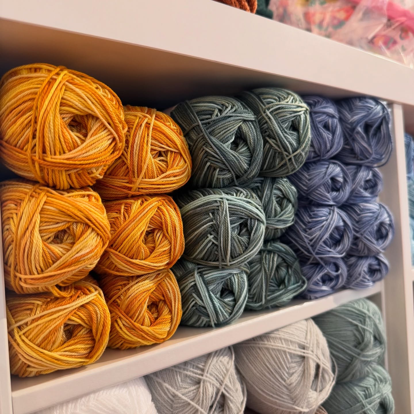 Images Kotoi Mertzeria