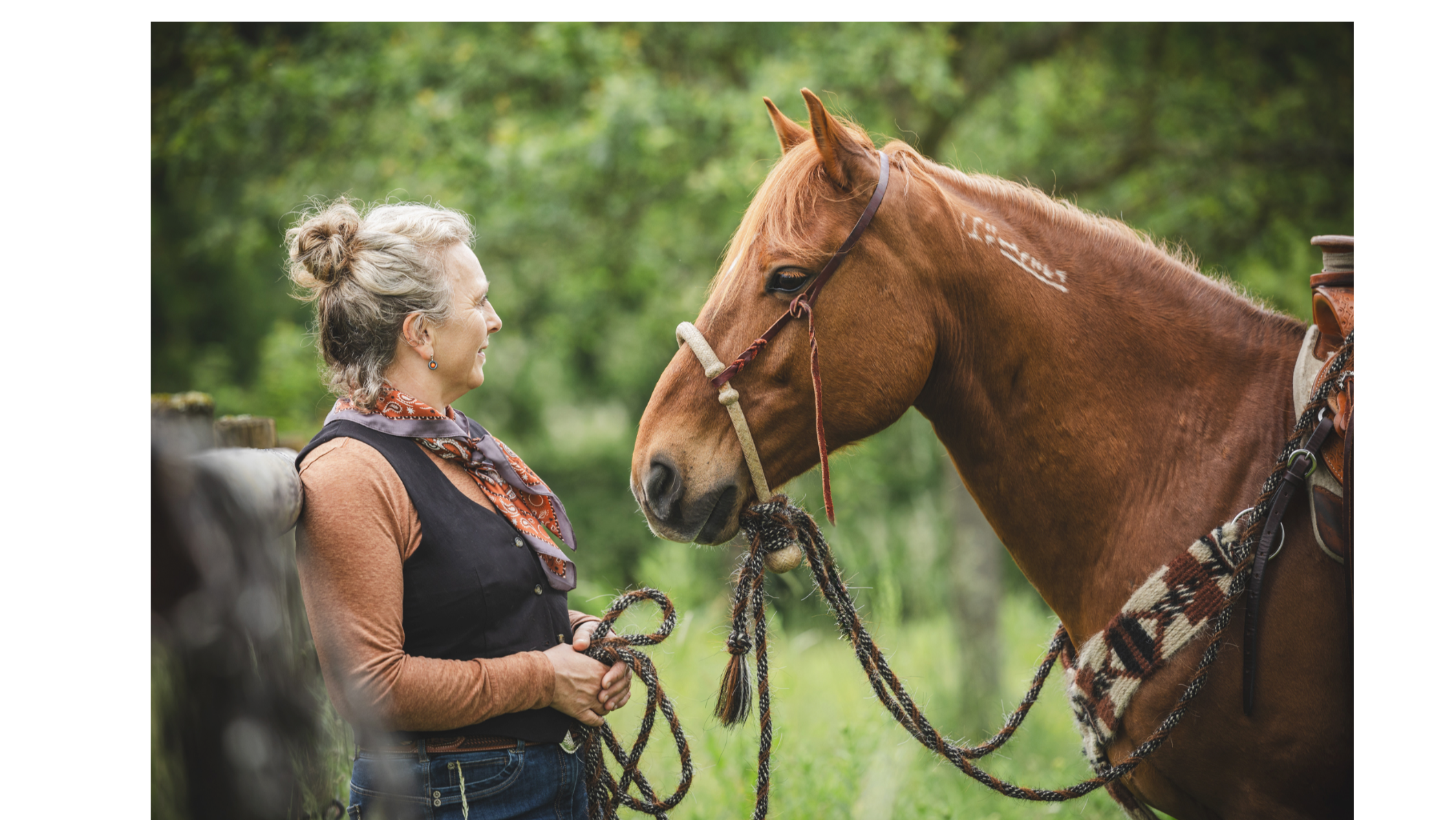 Ride the Brand - Mustang, Judengasse 7 in Guldental