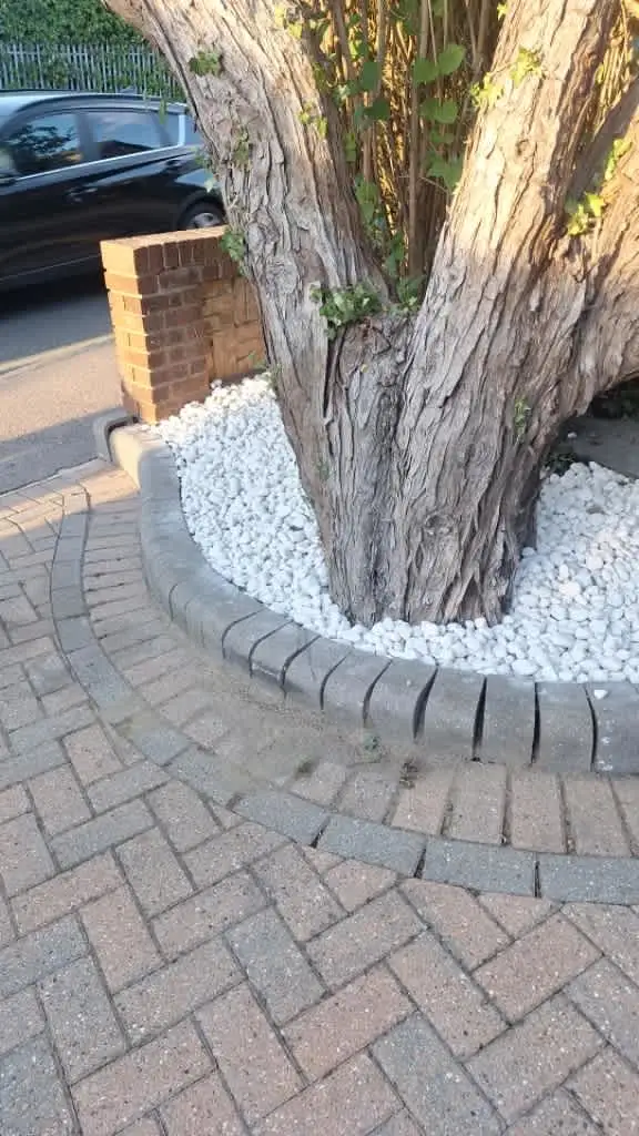 Images Garden Professionals
