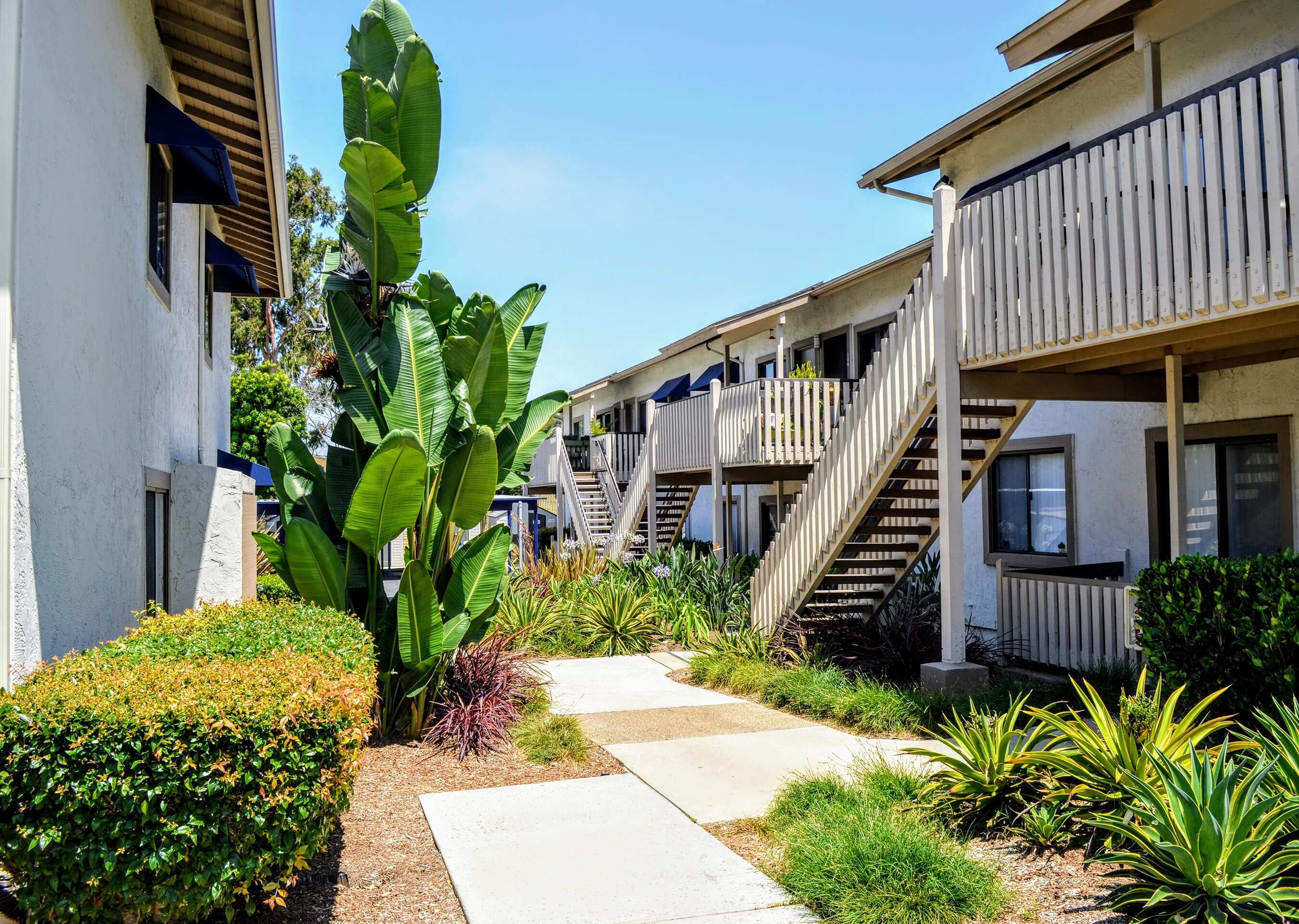 Courtyard Walking Path