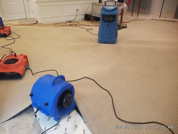 Images My Carpet Cleaning & Restoration Service