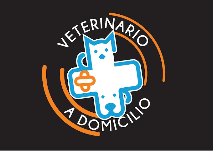 Images Veterinario A Domicilio
