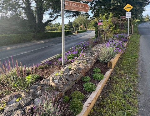 Eden landscaping 11