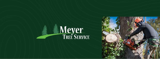 Images Meyer Tree Service