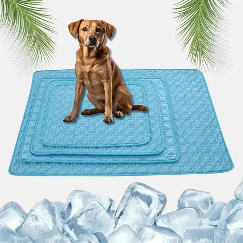 HUNDESCHATZ in Mandelbachtal