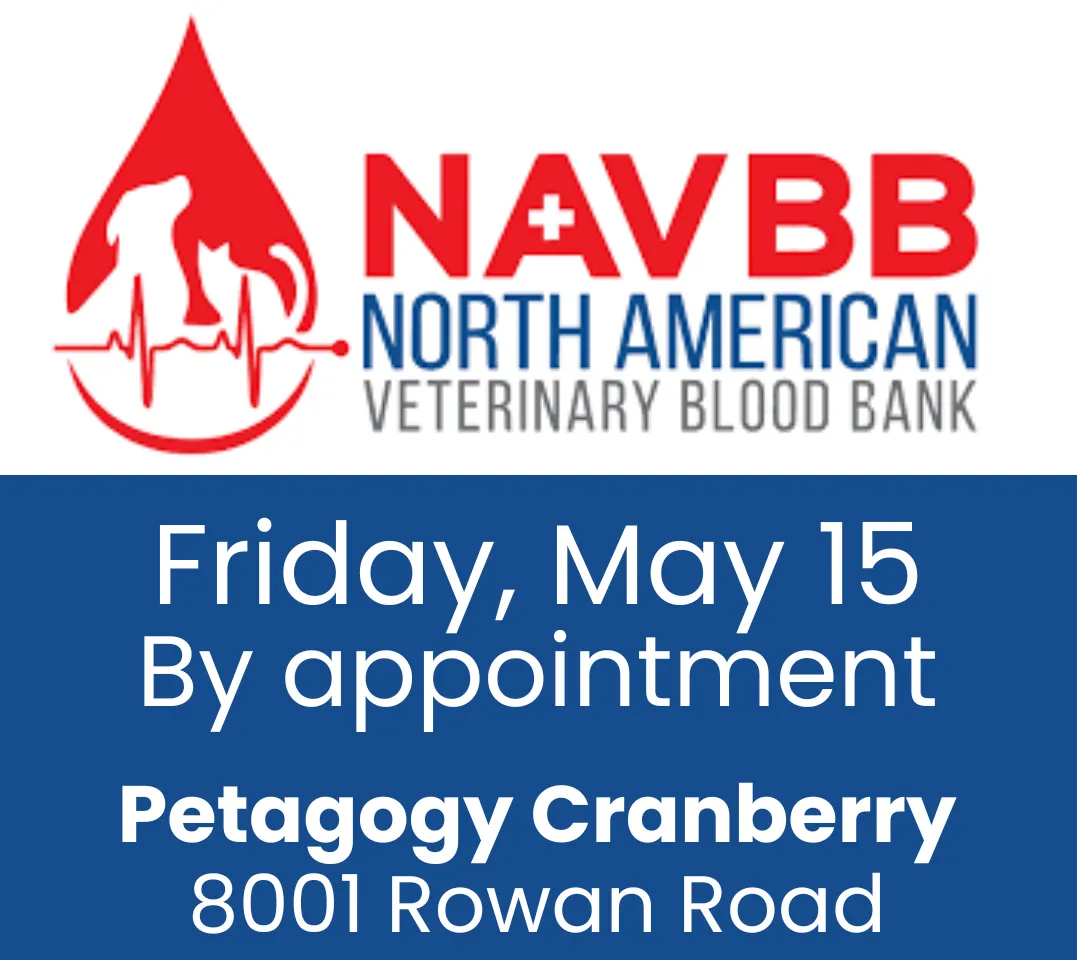 Image of Local Pet Event NAVBB Blood Drive Nearby