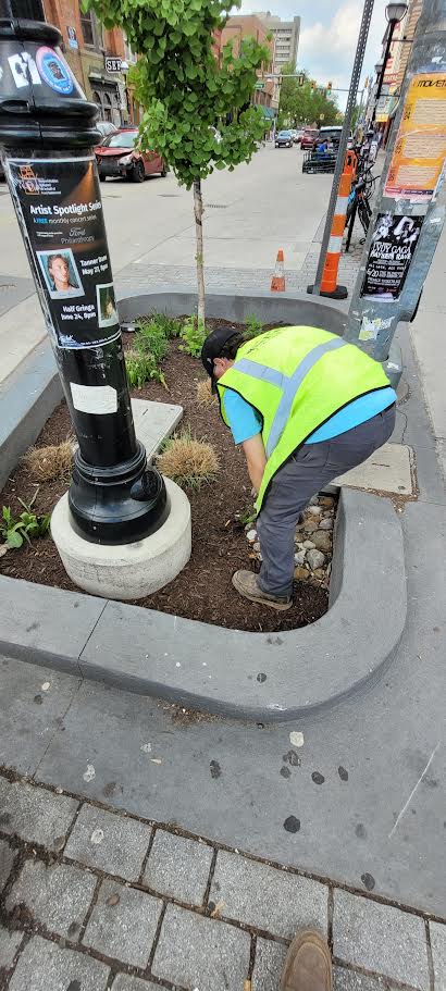 Heritage Lawn Care Image