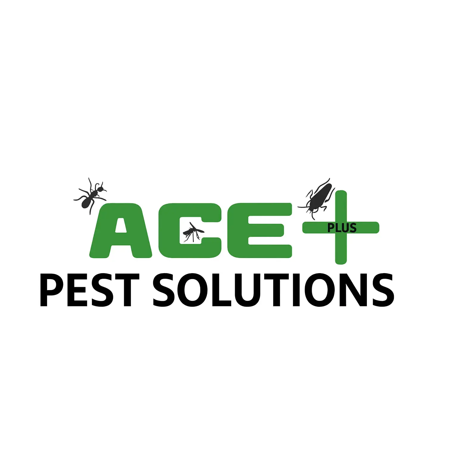 Ace Plus Pest Solutions