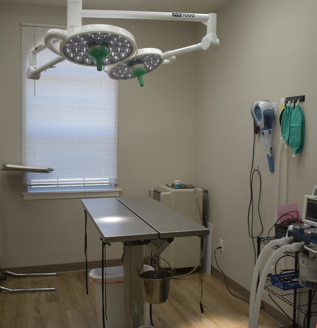 Images Animal Medical Center of Hernando