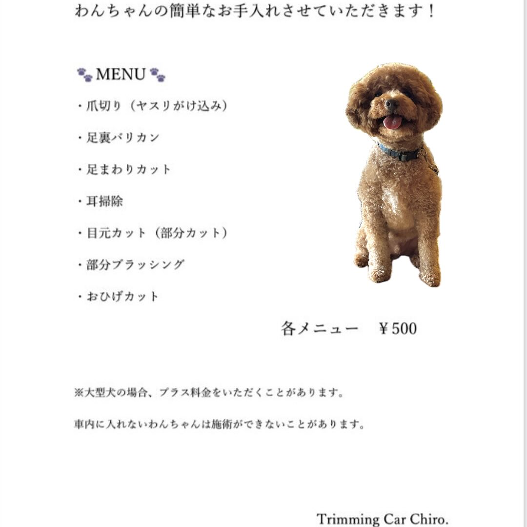 Images &Ａ