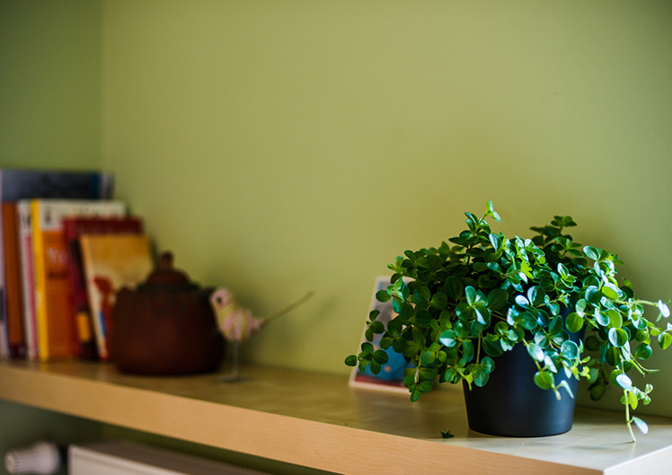 Bild 5 von Cranio Raum Linz