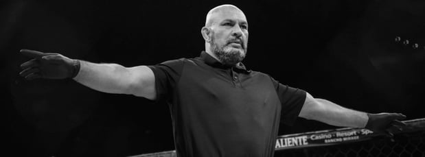 Images Aguirre's Fighting System