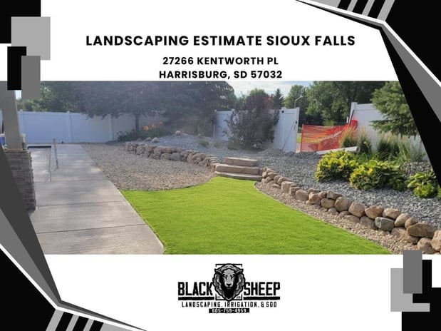 Images Black Sheep Landscape