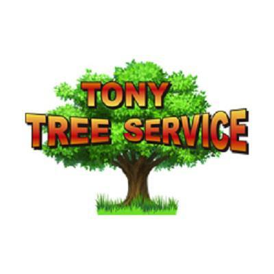 Tony Tree Service Logo
