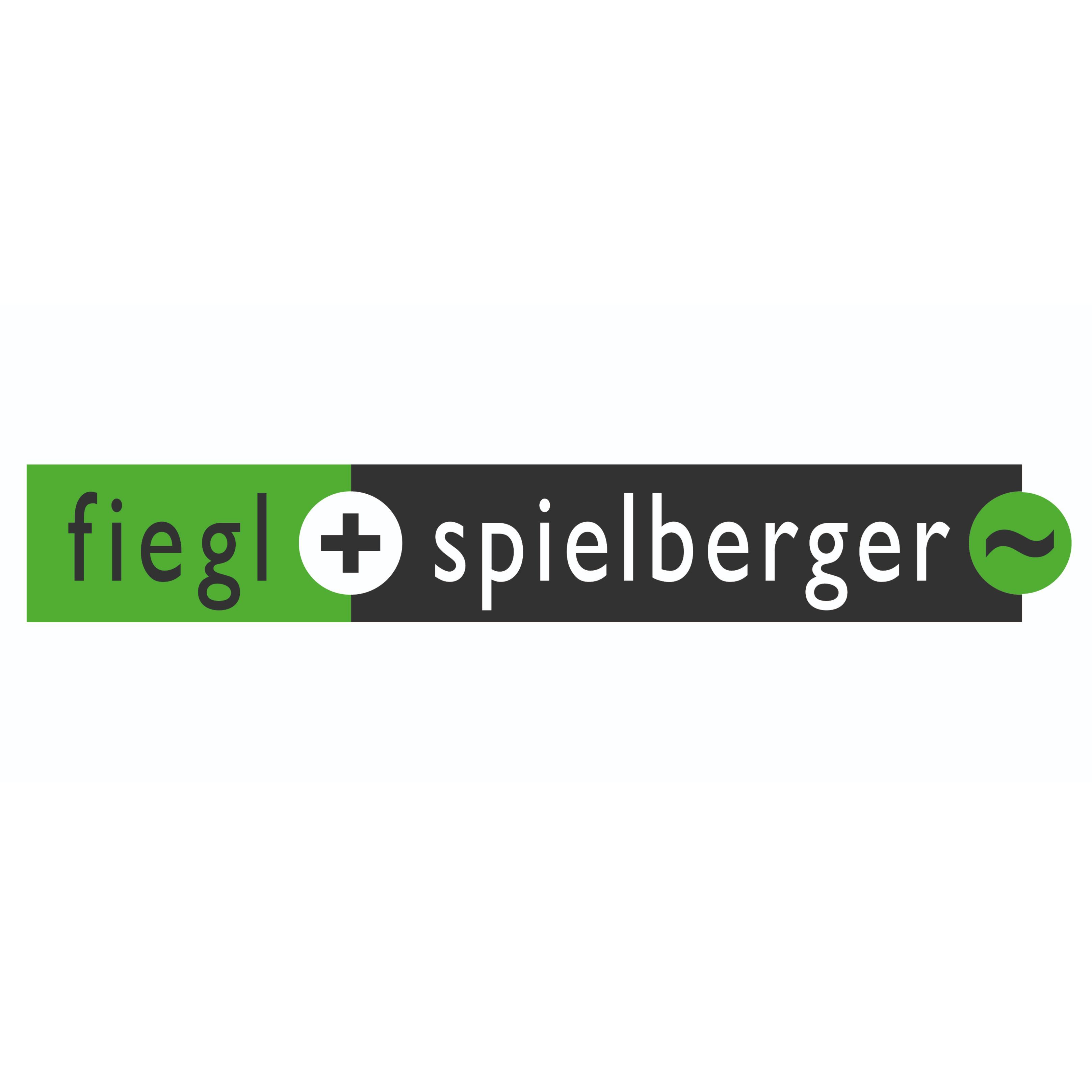 Logo von Fiegl & Spielberger GmbH