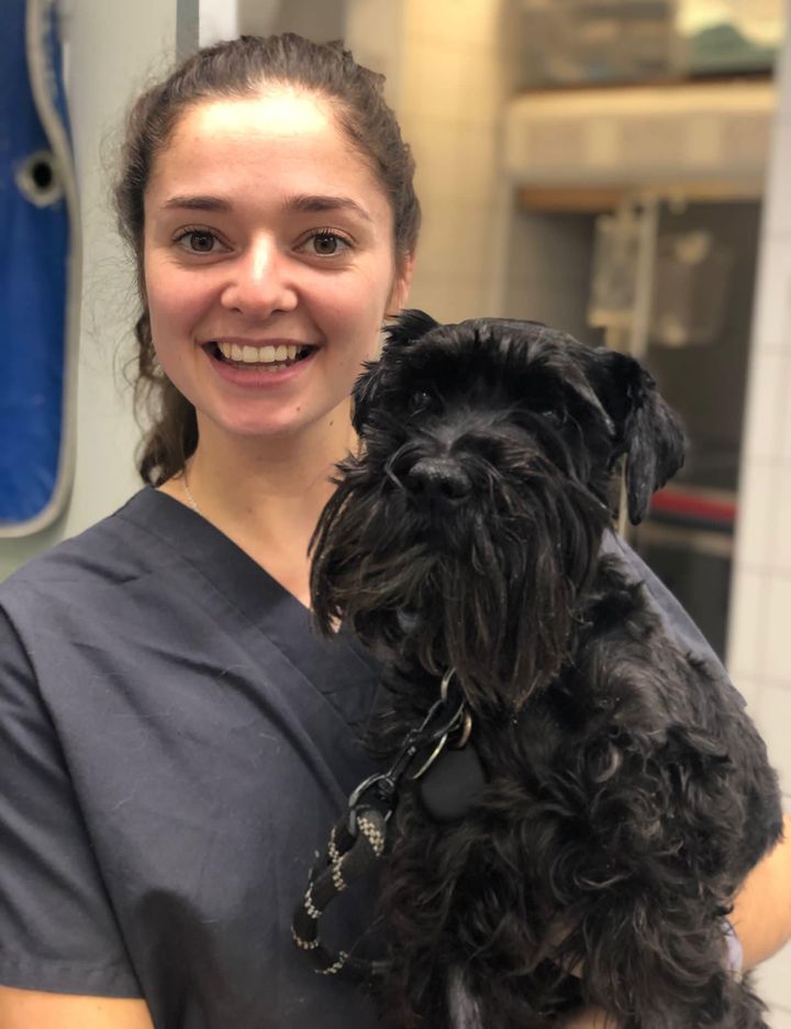Images Streatham Hill Veterinary Surgery