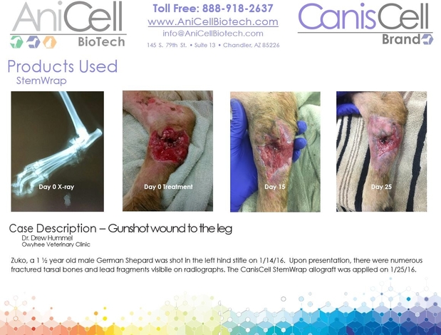 Images AniCell Biotech, LLC